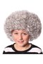 Gray, Voluminous, Bonus Afro Wig BX - 2