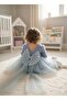 Baby Girl Rose Patterned Elegant Special Occasion Dress with Bow (Ages 0-5) - 3