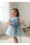 Baby Girl Rose Patterned Elegant Special Occasion Dress with Bow (Ages 0-5) - 4