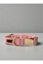 Candy Dog Collar - with Charm Gift - 3