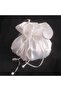Bridal Jewelry Pouch with Pearls