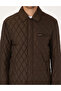 Brown Shirt Collar Coat 50313920-Vr029 - 7