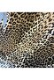 Leopard Patterned Single - Double Flat Sheet