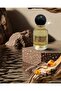 Shay Oud Scent - 2
