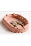 Framed Decorative Plate - 2