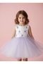 Feather Tutu Girls' Birthday Dress - 6