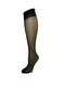 Women's 6-Piece Fit Below-Knee Thin Shiny Pantyhose - 2