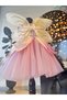 Girl's Pink Color Wing Fairy Dress, Fairy Costume - 4