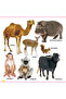 My First Library Books Pack - Early Learning Set with ABC, Numbers, Colours, Shapes, Animals - 4