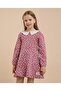 Printed A-Line Dress with Peter Pan Collar and Long Sleeves
