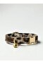 Leopard Bell Cat Collar