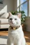 Leopard Bell Cat Collar - 2
