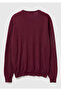 Men's plum 100% cotton crew neck sweater - 4