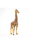 Figurina Girafa Mascul - 5