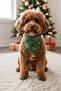 New Year's Concept Dog Collar - Green Detachable Scarf