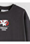 Lcw Kids Anthracite Crew Neck Pokemon Printed Boys' Sweatshirt - 3