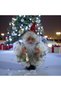 Santa Claus Hanging Decorative Ornament, Tabletop Santa Claus Ornament, Handmade Christmas Ornament, 19 cm - 5