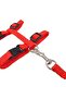 Reflective Adjustable Cat Collar and Harness with Leash (Red) - 6
