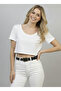 Brown Suede Look Women's Belt with Starfish Figure - Mfr5002 - 4