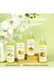 Papaya & Coconut Oil Natural Hair and Skin Care Moisturizing Body Massage Oil - 3