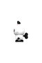 Pandy Paws with Harmonica - 4