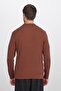 Men's Standard Fit Regular Cut Cotton Polo V-Neck Brown Sweater - 7