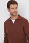 Men's Standard Fit Regular Cut Cotton Polo V-Neck Brown Sweater - 2