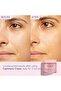 Resveratrol Lift- Cashmere Cream Refill 50ml - 2
