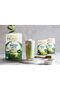 Classic Matcha Latte, 6 Servings, 84g - 4
