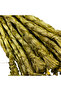 Monofil Glitter Embroidery Thread Spool 30 m - 3