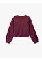 Regular Fit Three Thread Sh Fleece-Lined Long Sleeve Crew Neck Basic Sweatshirt - 3