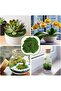 Fake Moss for Plants - Artificial Moss for Crafts, Dark Green (100g) - 6