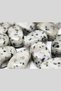 Jasper Stone Spotted 9733 - 3