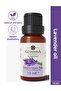زيت اللافندر العطري 10 مل