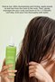 Rosemary Anti-Hair Loss Care Shampoo & Rosemary Hair Vinegar - 5