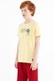 Yellow Print Detailed O Neck Standard Fit Boys T-Shirt - 11145 - 5
