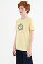 Yellow Embroidery Detailed O Neck Standard Fit Boys T-Shirt - 11115 - 5