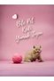 8 in 1 Cat Play Set: 3-Layer Toy-Laser-Fishing Rod-Bone Ball-Feather Ball - 2