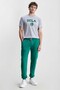 Luskin Green Shrink-Fit Cotton Printed Standard Fit Men's Sweatpants with Elastic Cuffs - 5