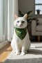 New Year's Concept Bell Cat Collar-Green Detachable Scarf