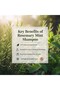 Rosemary Complete Repair Shampoo With Mint & Rosemary Sulfate-free 500ml - 7