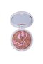 34 Model Terracotta Blusher Blush