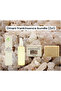 Omani Frankincense Natural Group (2 x 1) Omani Hojari Frankincense soap (100g) + oil (100 ml) - 2