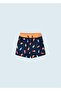 Boy's Shorts Swimwear 3686