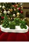 New Year Christmas Decorative Candle Set of 5, Pine Tree, Teddy Bear, Gift Box, Snowflake, Plate - 3