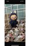 Plush Doll Plush Toy Keychain 18cm Boxed Model Toy Doll