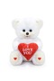Premium Gift Box Cute Cinnamon Plush Teddy Bear |   I Love You Written Heart Figure - 3
