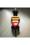 Neon Green Pink Cardigan for Cat and Dog - 6