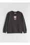 Lcw Kids Anthracite Crew Neck Pokemon Printed Boys' Sweatshirt