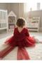 Patterned Rose-Patterned Bow Stylish Special Occasion Dress for Baby Girl 0-5 Years - 3